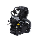 Двигатель CG300 TT AGRO MOTO на мотоцикл, L170 ММ (с водяным охлаждением, бензиновый), без сайлентблоков в местах крепления к раме