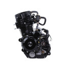 Двигатель CG300 TT AGRO MOTO на мотоцикл, L170 ММ (с водяным охлаждением, бензиновый), без сайлентблоков в местах крепления к раме