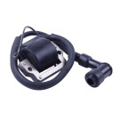 Катушка зажигания TT AGRO MOTO на мопед Актив с двигателем 110СС