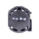 Головка цилиндра в сборе YBX на дизельный двигатель 195N, (на мототрактор)