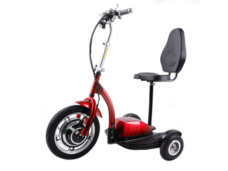 Электросамокат с сиденьем (сиденье - спинка) TTG SM T06-1 36V350W 12AH красный
