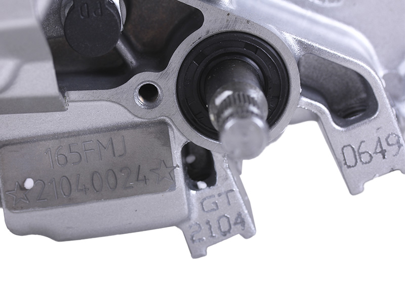 Двигун CB250 TT AGRO MOTO на мотоцикл, 165FMJ (з повітряним охолодженням, бензиновий)