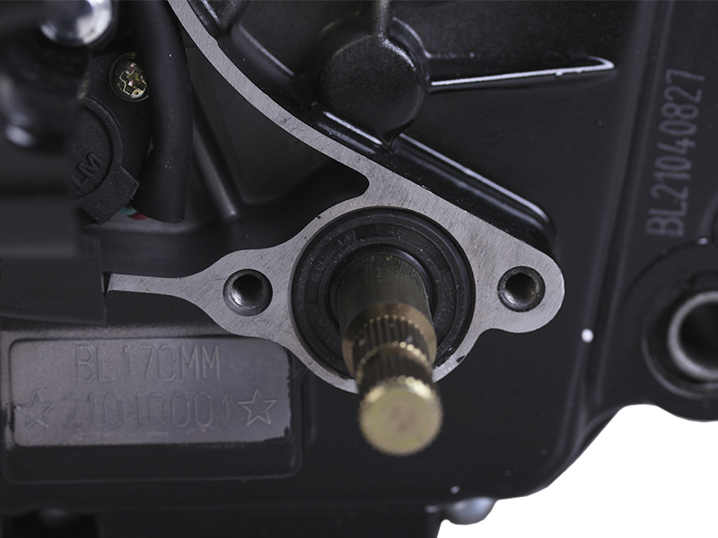 Двигатель CG300 TT AGRO MOTO на мотоцикл, BL170 ММ (с водяным охлаждением, бензиновый) 25 л.с.