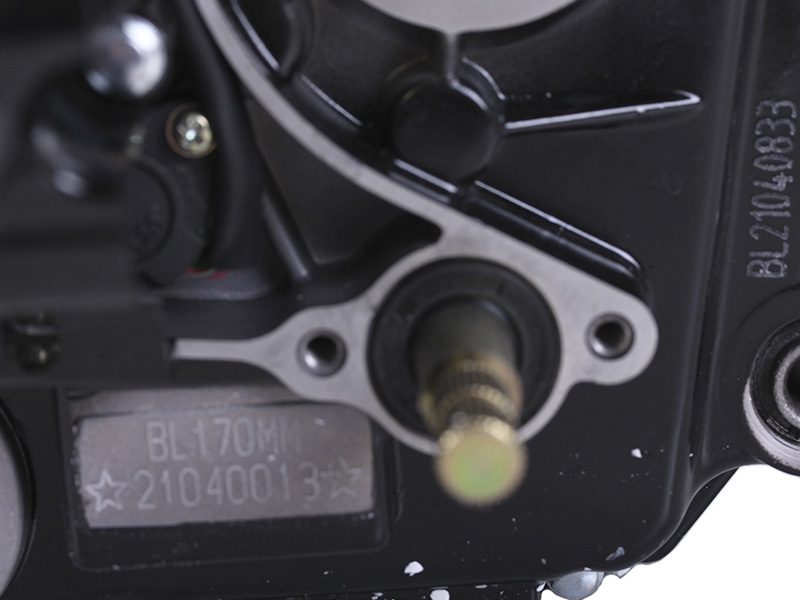 Двигун CG300 TT AGRO MOTO на мотоцикл, L170 ММ (з водяним охолодженням, бензиновий) 25 к.с.