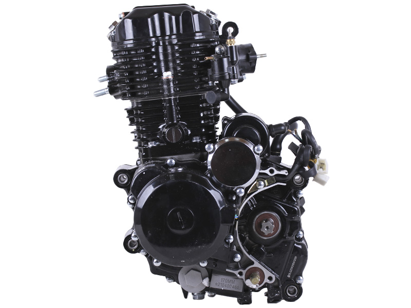 Двигатель CG300-2 TT AGRO MOTO на мотоцикл, 170ММ (с водяным охлаждением, бензиновый) 25 л.с.