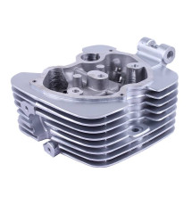 Головка циліндра TT AGRO MOTO на бензиновий двигун СG250