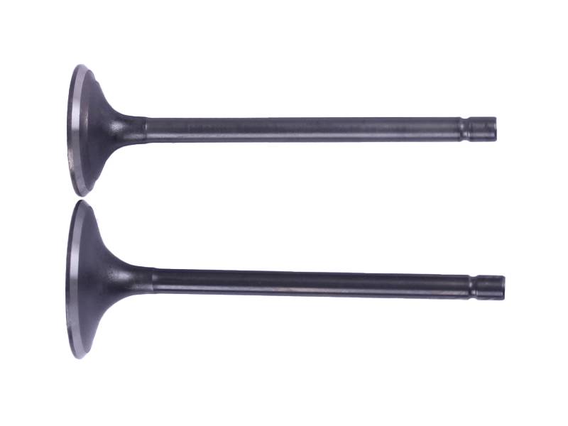 Клапаны TT AGRO MOTO на бензиновый двигатель 166FMM/СG250