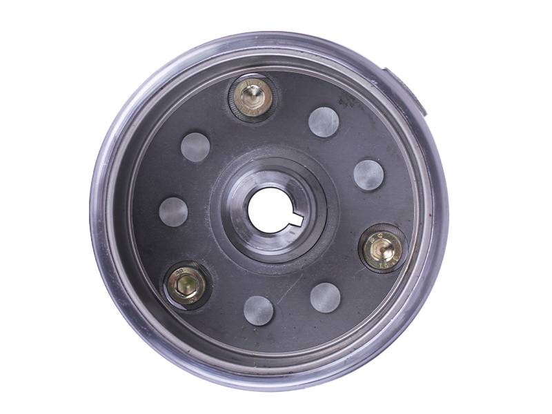 Магнето генератора TT AGRO MOTO на бензиновый двигатель СG250