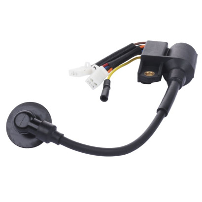 Катушка зажигания - 1.8KW/2.0KW