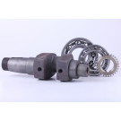 Коленвал в сборе + подшипники 2 шт. + шестерня - 190N - Premium