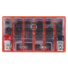 Аккумулятор гелевый TT AGRO MOTO YTX16-BS 14АH, 150*87*161mm оранжевый