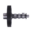 Распредвал с шестерней TΛTΛ на дизельный двигатель 192D