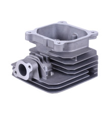Головка блоку гола TT AGRO MOTO на бензиновий двигун P70F (ZS)