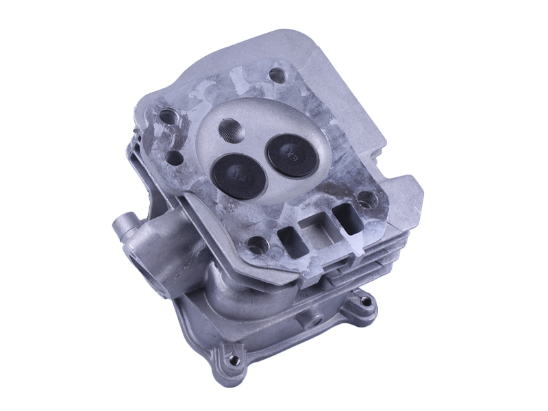 Головка блока цилиндра в сборе TT AGRO MOTO на бензиновый двигатель 168F/170F