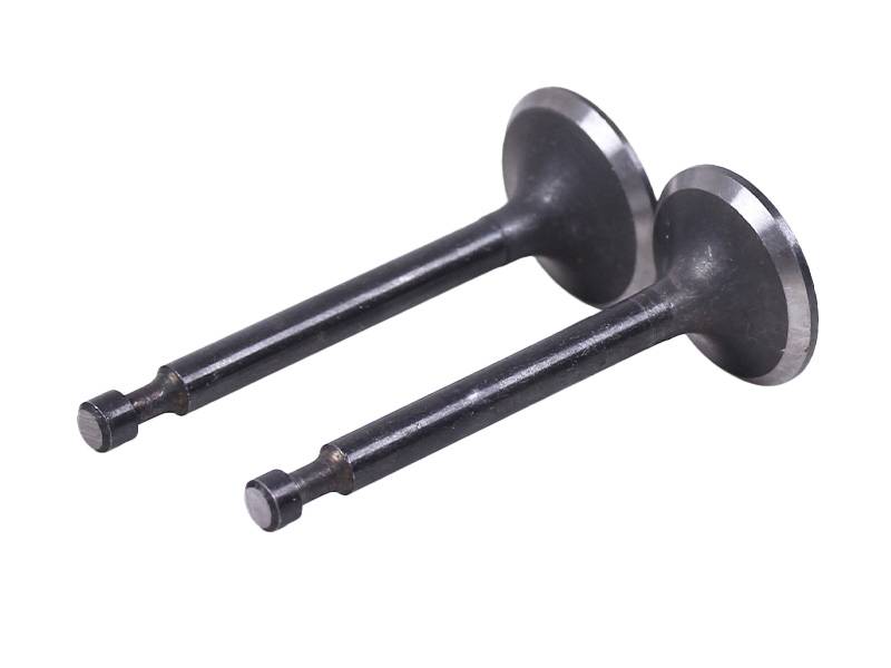 Клапаны TT AGRO MOTO на бензиновый двигатель 168F/170F, к-т: 2 шт.