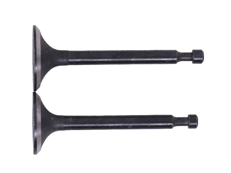 Клапаны TT AGRO MOTO на бензиновый двигатель 168F/170F, к-т: 2 шт.