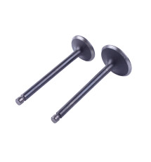 Клапаны, к-т: 2 шт. - 186F, тип 2