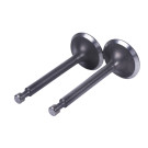 Клапани TTG на бензиновий двигун 168F, к-т: 2 шт.