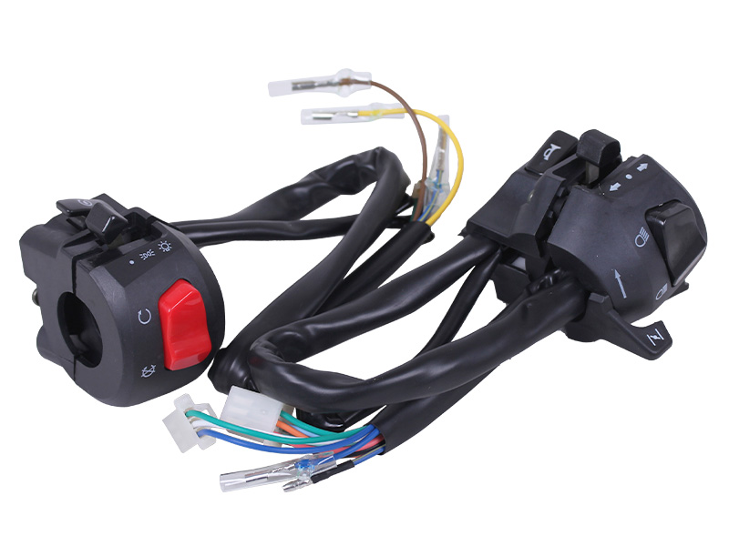 Блок керування (Л+П) TT AGRO MOTO на мотоцикл LF200-10S