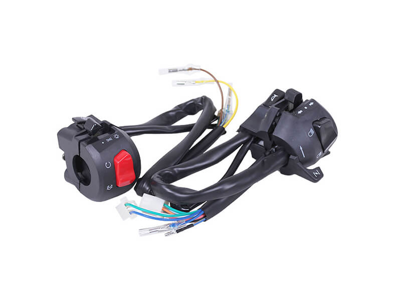 Блок керування (п+л) TT AGRO MOTO на мотоцикл LF150-10B
