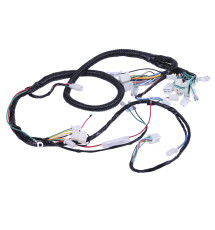 Проводка центральна TTG для двигуна 50CC 4T