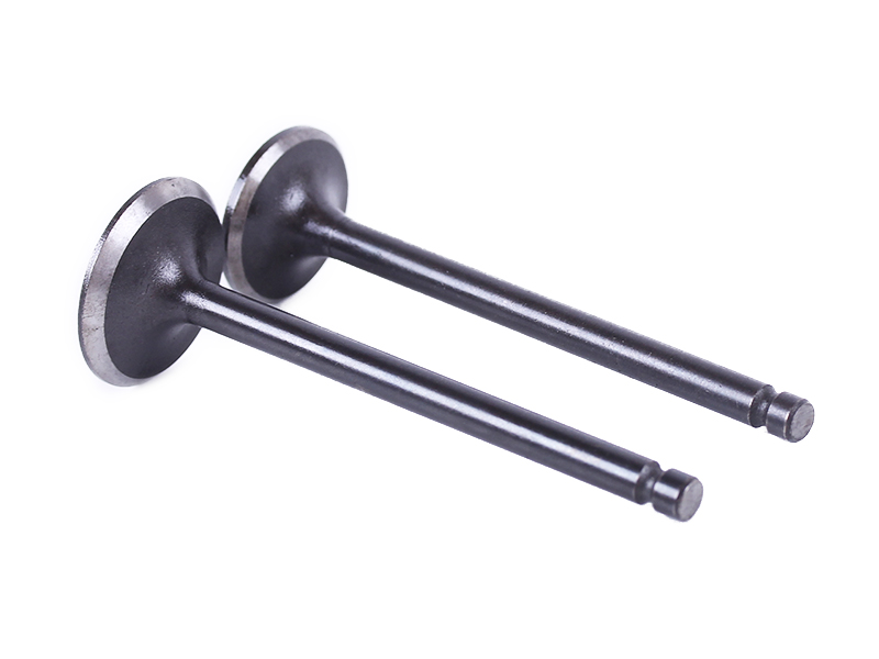 Клапани TT AGRO MOTO на мопед Alpha125СС, к-т: 2 шт.