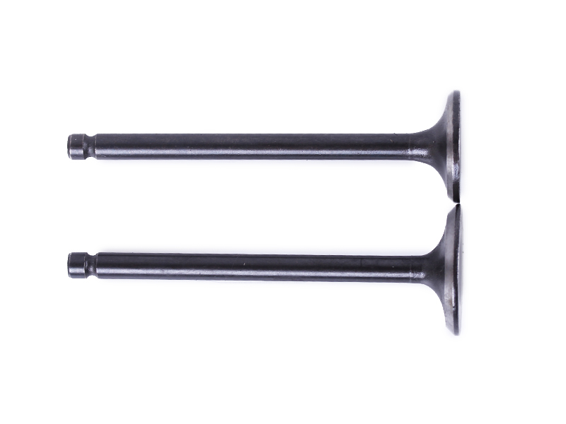 Клапани TT AGRO MOTO на мопед Alpha125СС, к-т: 2 шт.