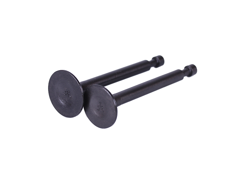 Клапани TT AGRO MOTO на бензиновий двигун P65F, к-т: 2 шт.
