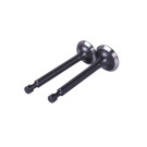 Клапаны TΛTΛ на бензиновый двигатель P65F, к-т: 2 шт.