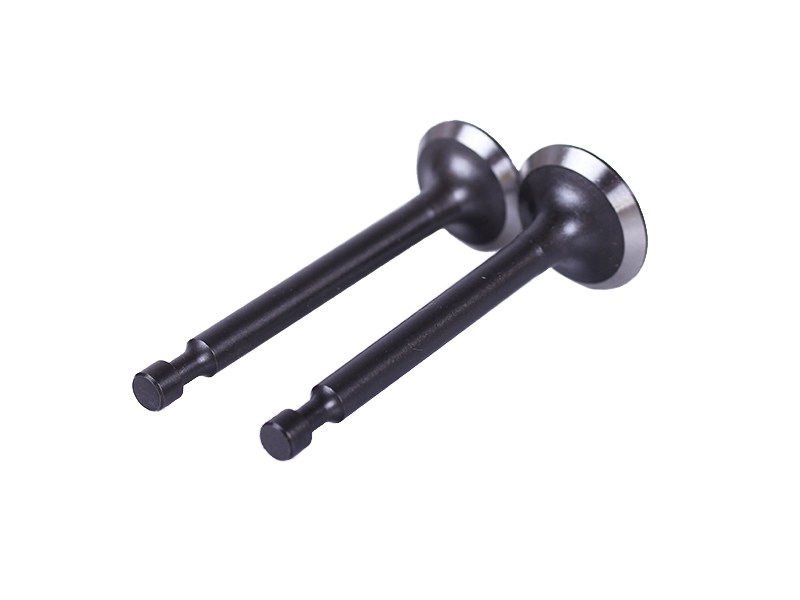 Клапани TT AGRO MOTO на бензиновий двигун P65F, к-т: 2 шт.