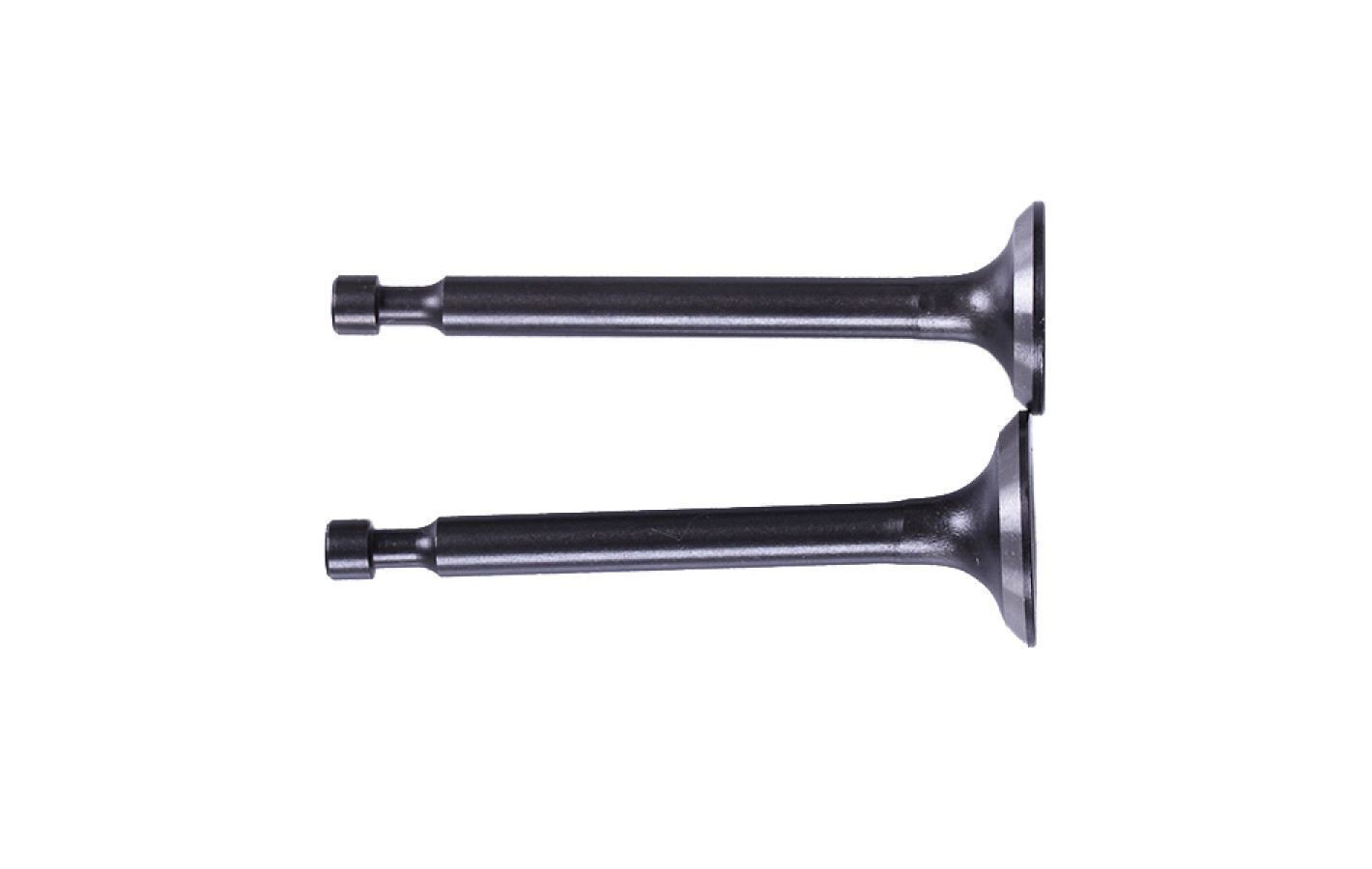 Клапаны TΛTΛ на бензиновый двигатель P65F, к-т: 2 шт.