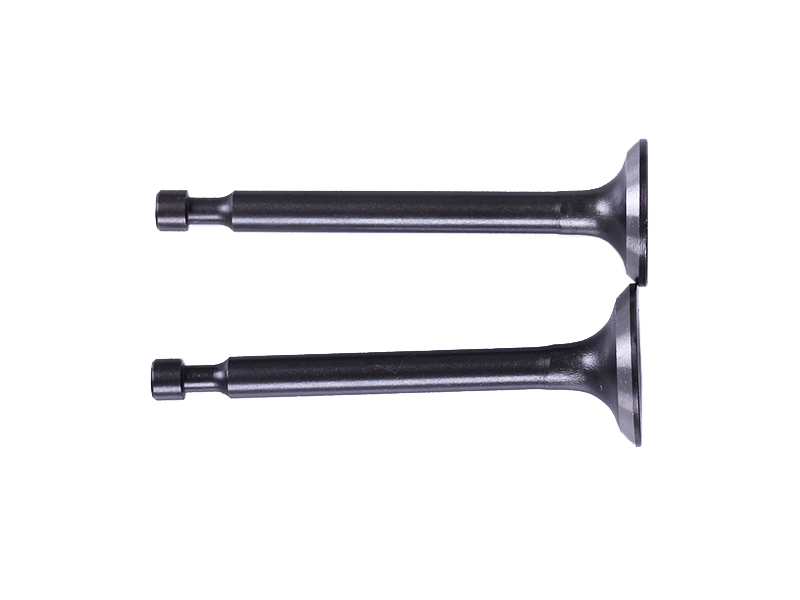 Клапани TT AGRO MOTO на бензиновий двигун P65F, к-т: 2 шт.