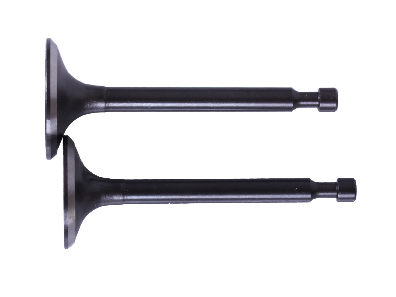 Клапани TT AGRO MOTO на бензиновий двигун P70F (ZS)