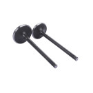 Клапана CB-250 (с баланс валом)