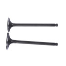 Клапана CB-250 (с баланс валом)