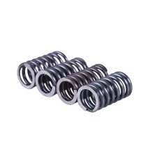 Пружини зчеплення, к-т: 4шт. - КПП Mini