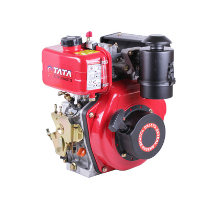 Diesel engine 173D TATA (with a shaft exit under the key, 20..