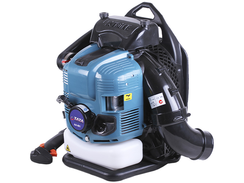 Пылесос садовый (воздуходув) TT AGRO MOTO EB760 500x400x550 четырехтактный ранцевый бензин