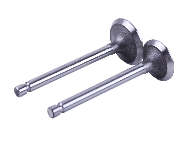 Клапаны TT AGRO MOTO на дизельный двигатель 170D (2 шт)