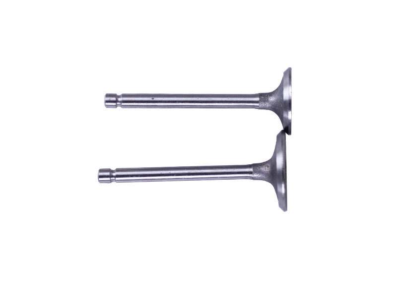 Клапани TT AGRO MOTO, к-т 2 шт. - 173D