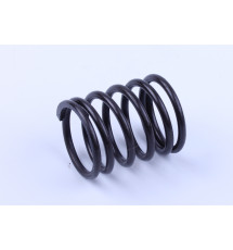 Пружина клапана зовнішня DL190-12 Xingtai 120
