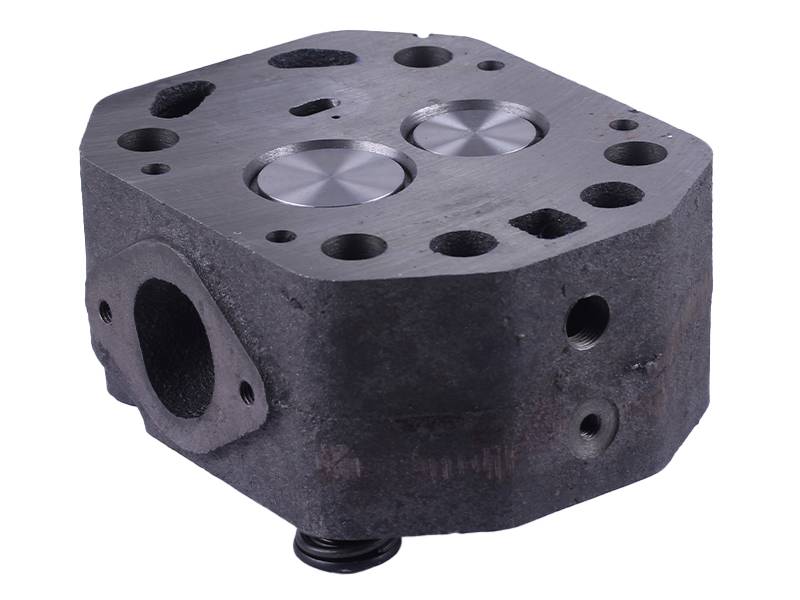 Головка циліндра в зборі TTG на дизельний двигун 195N/ZUBR з водяними заглушками
