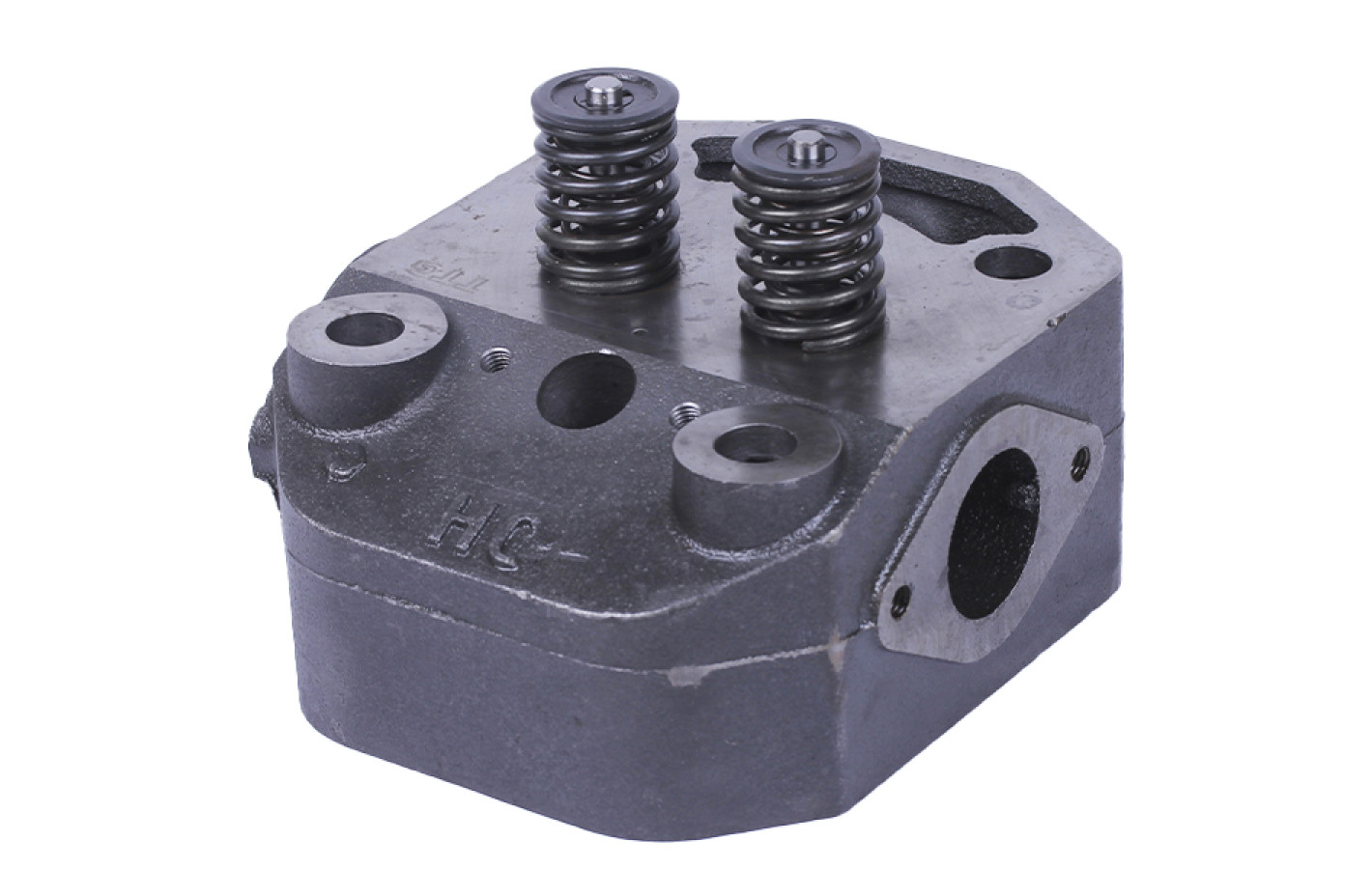 Головка цилиндра в сборе TTG на дизельный двигатель 195N мототрактора ZUBR, под форсунку диаметр 21 мм