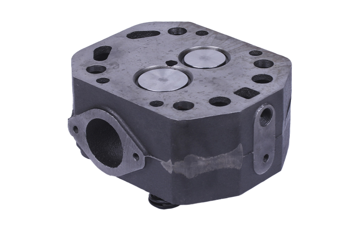 Головка цилиндра в сборе TTG на дизельный двигатель 195N мототрактора ZUBR, под форсунку диаметр 21 мм