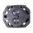 Головка цилиндра в сборе TTG на дизельный двигатель 195N мототрактора ZUBR, под форсунку диаметр 21 мм