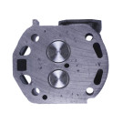 Головка цилиндра в сборе TTG на мототрактор с дизельным двигателем 195N