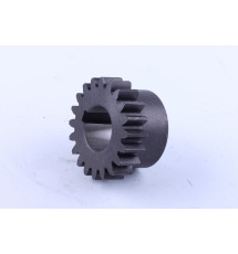 Шестерня КПП Z-20 Xingtai 24B, Shifeng 244, Taishan 24