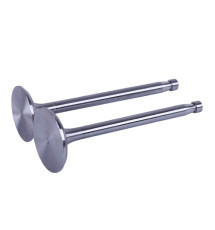 Клапани TT AGRO MOTO на дизельний двигун ZH1115N