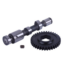 Розподільний вал TT AGRO MOTO на дизельний двигун ZH1115N