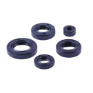 Сальники TT AGRO MOTO на бензиновый двигатель СВ-125/150, к-т: 5 шт.